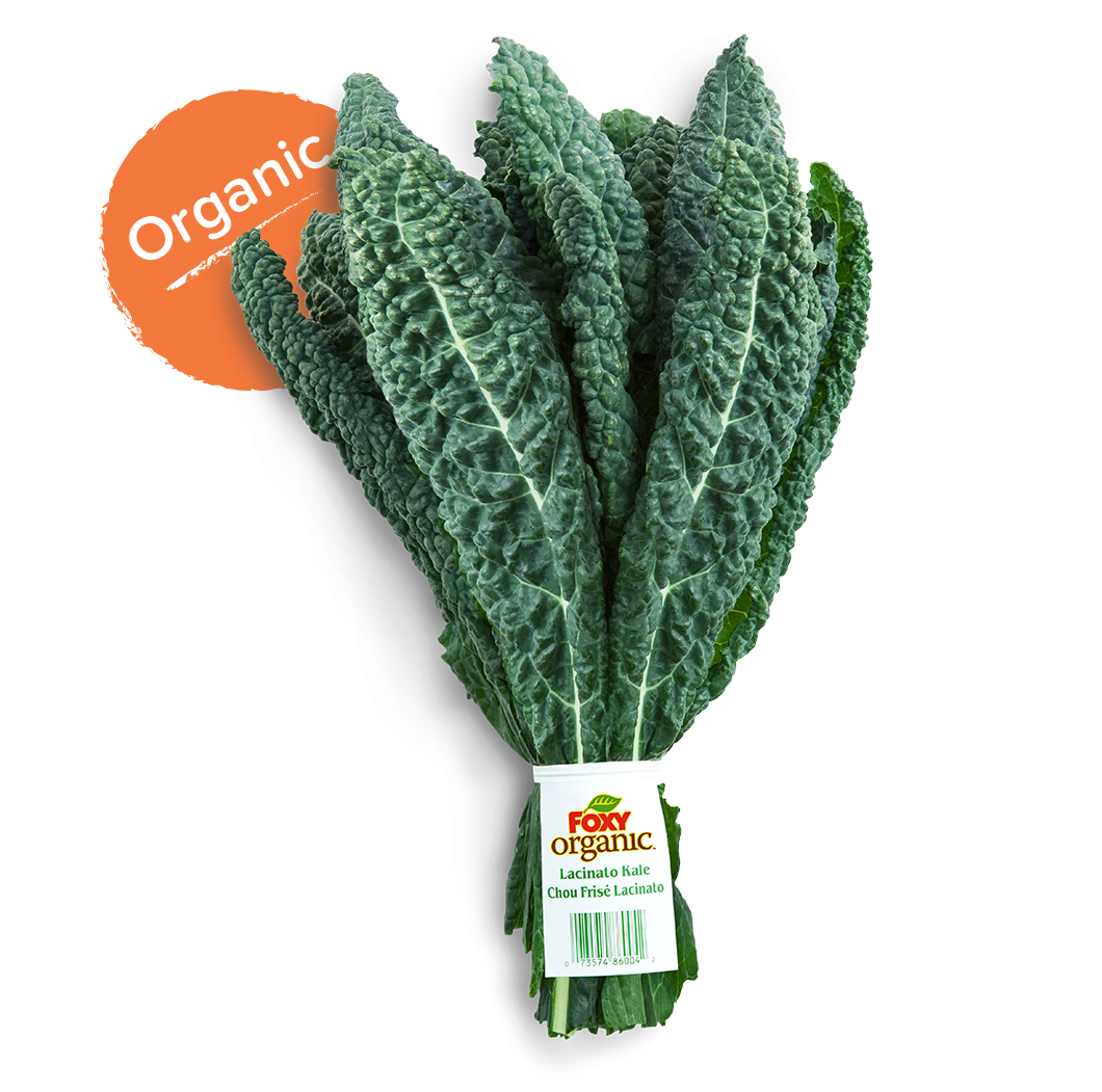 Lacinato Kale Foxy Fresh Produce