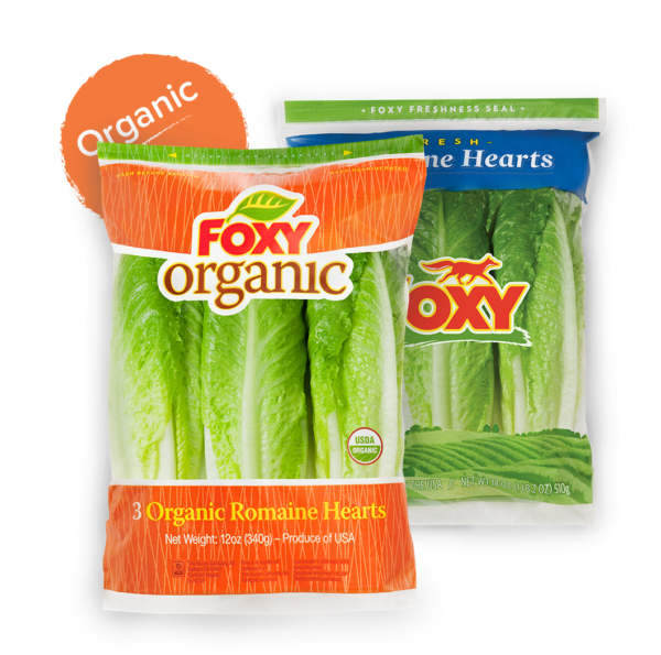 Romaine Leaf Lettuce Foxy Fresh Produce